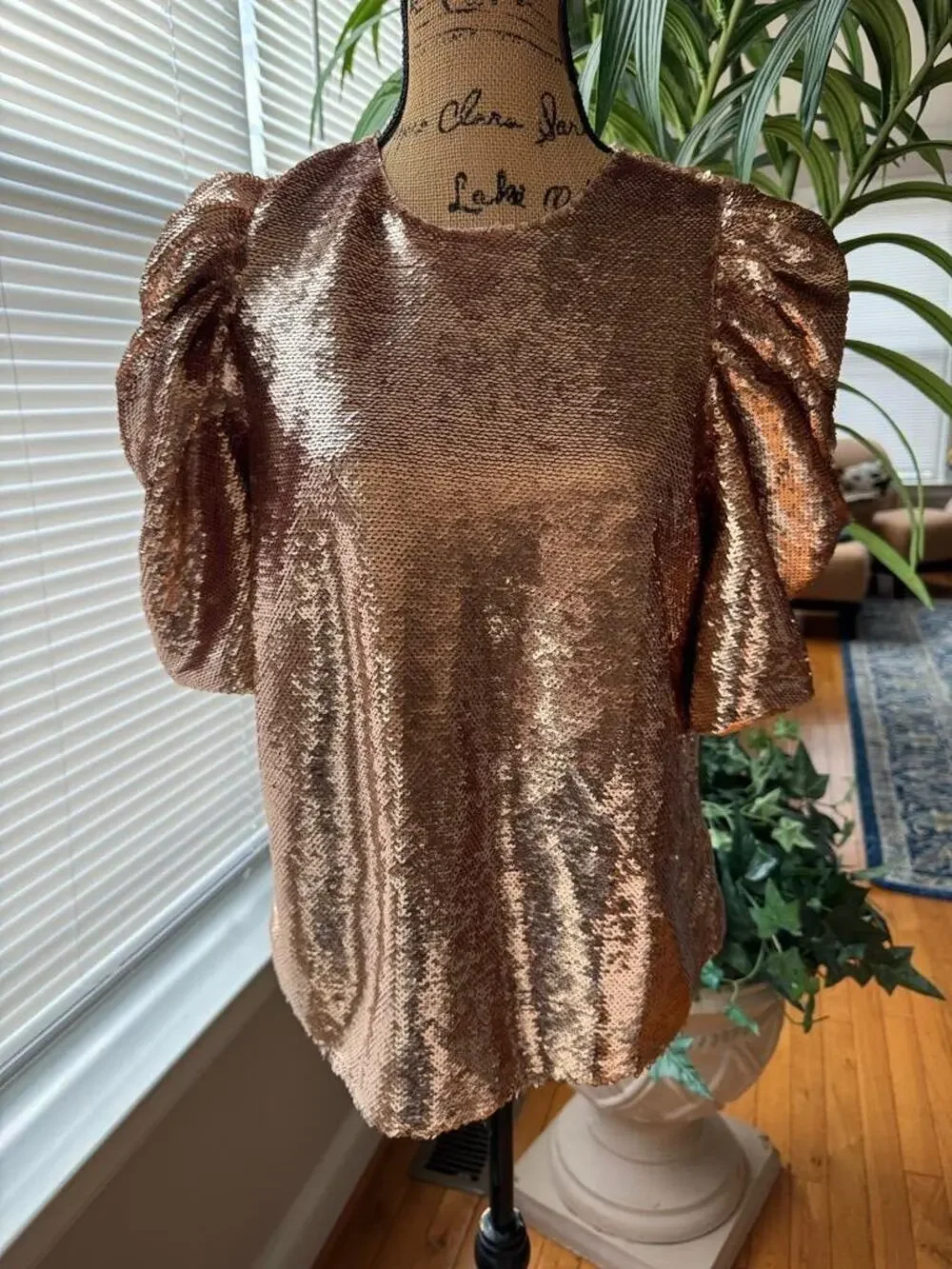 Ulla Johnson Raw Sequin blouse top 6 (BL100